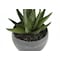 Monarch Specialties Artificial Plant, 6" Tall, Succulent, Indoor, Faux, Fake, Table, Greenery, Potted, Set Of 3 I 9587 - alternate 6